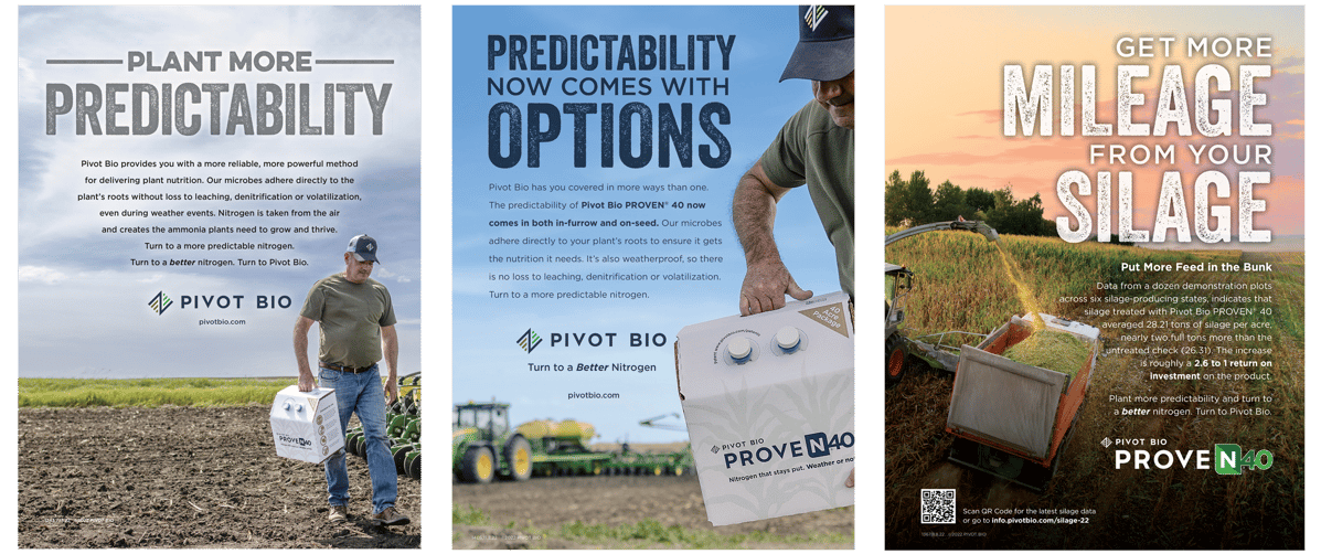 PB_Print_Ads_Case_Study